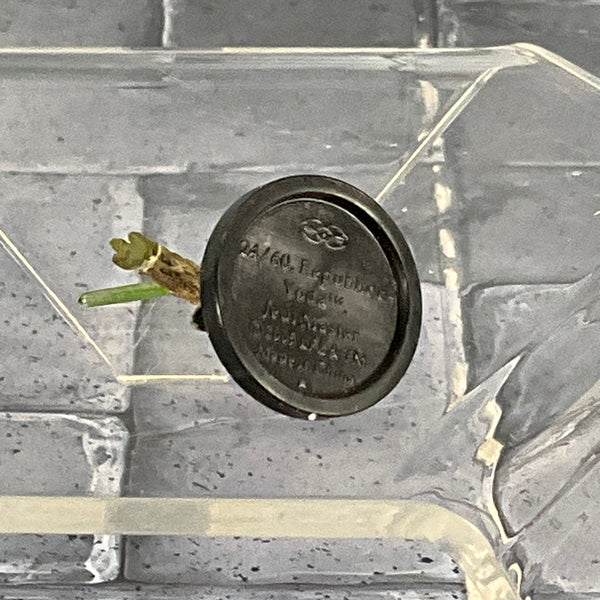 Star Wars Miniatures 24/60 Yoda, Jedi Master