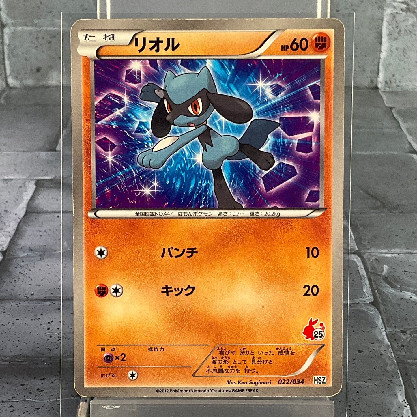 Pokémon TCG – Japanese National Beginning: Riolu #22 - P Condition