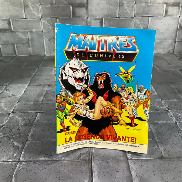 Vintage Masters of the Universe Grizzlor