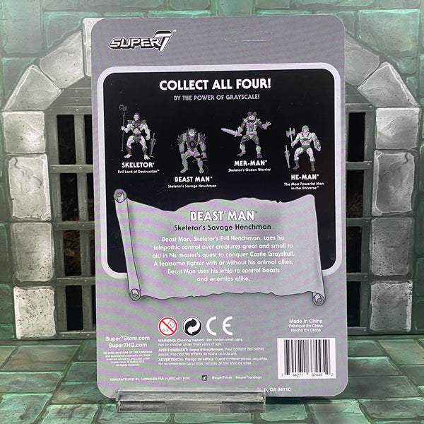 Super7 Reaction By the Power of Grayscale Edition MOTU Set